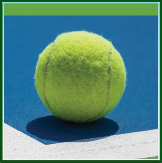 4th Annual Aussie Open Tennis Tournament May 25, 2024