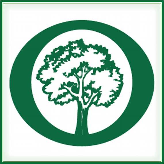Lexington Receives Five “Free Fall Trees”