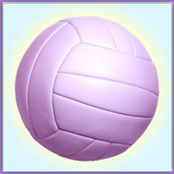 30th Annual Volleyball for Charity Sunday