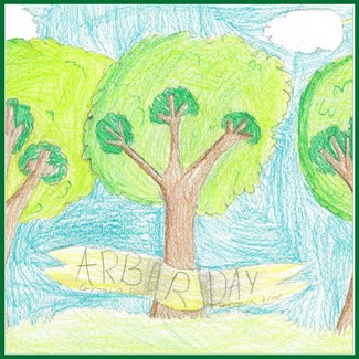 Tree Board Names 3rd Grade Arbor Day Poster Contest Winners